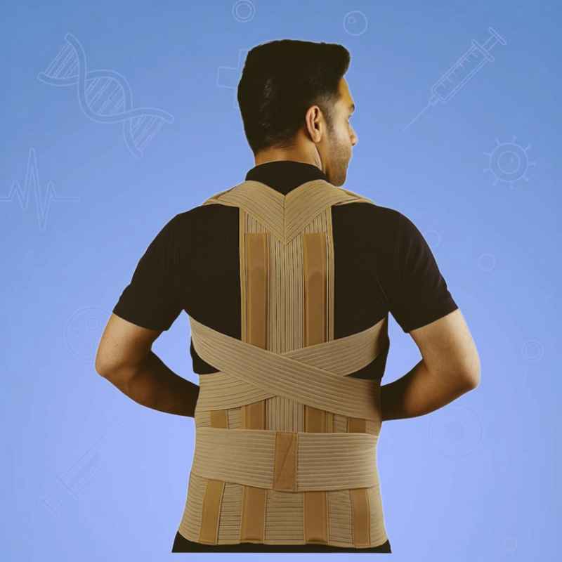 ساپورت های تنه