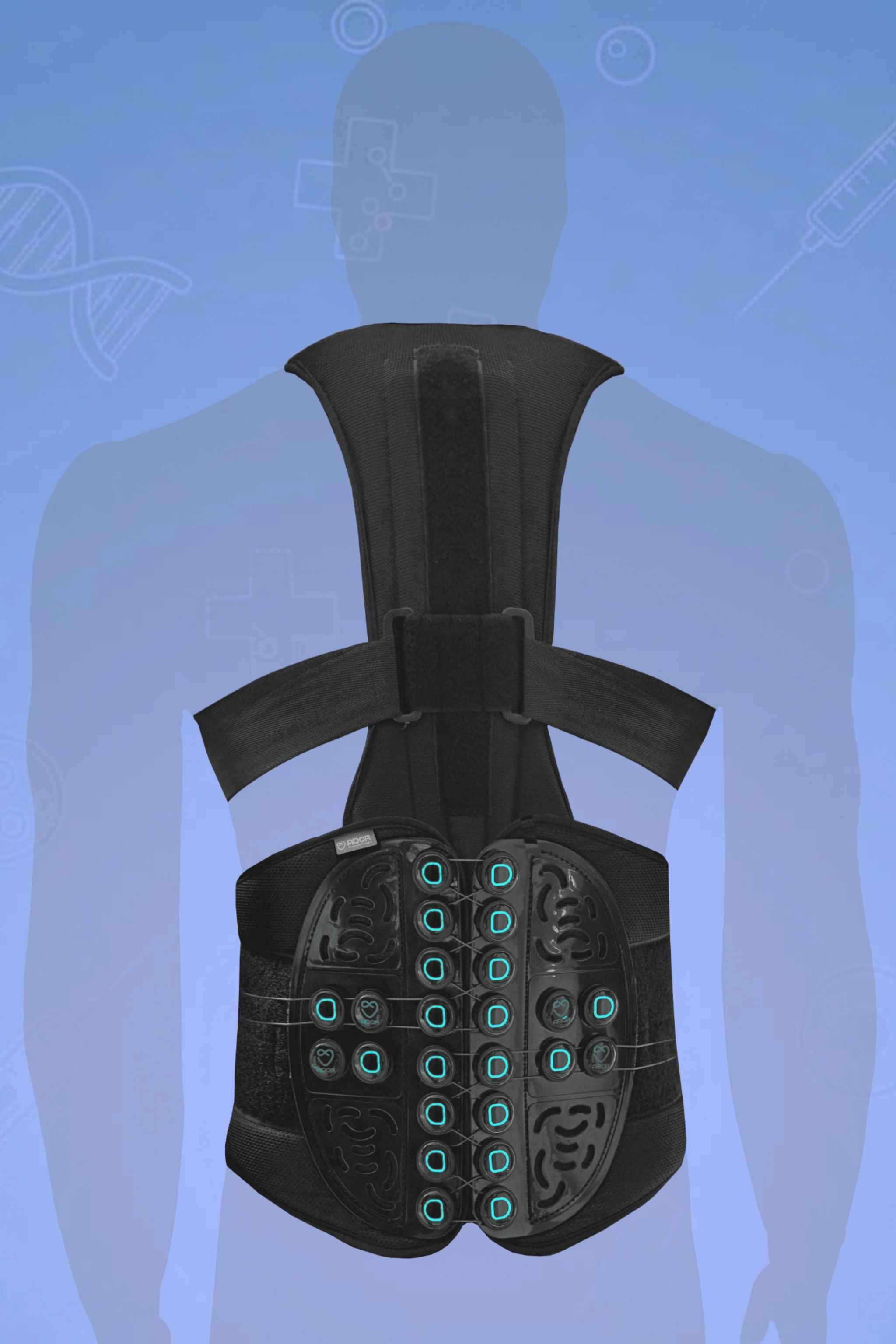 ساپورت های تنه