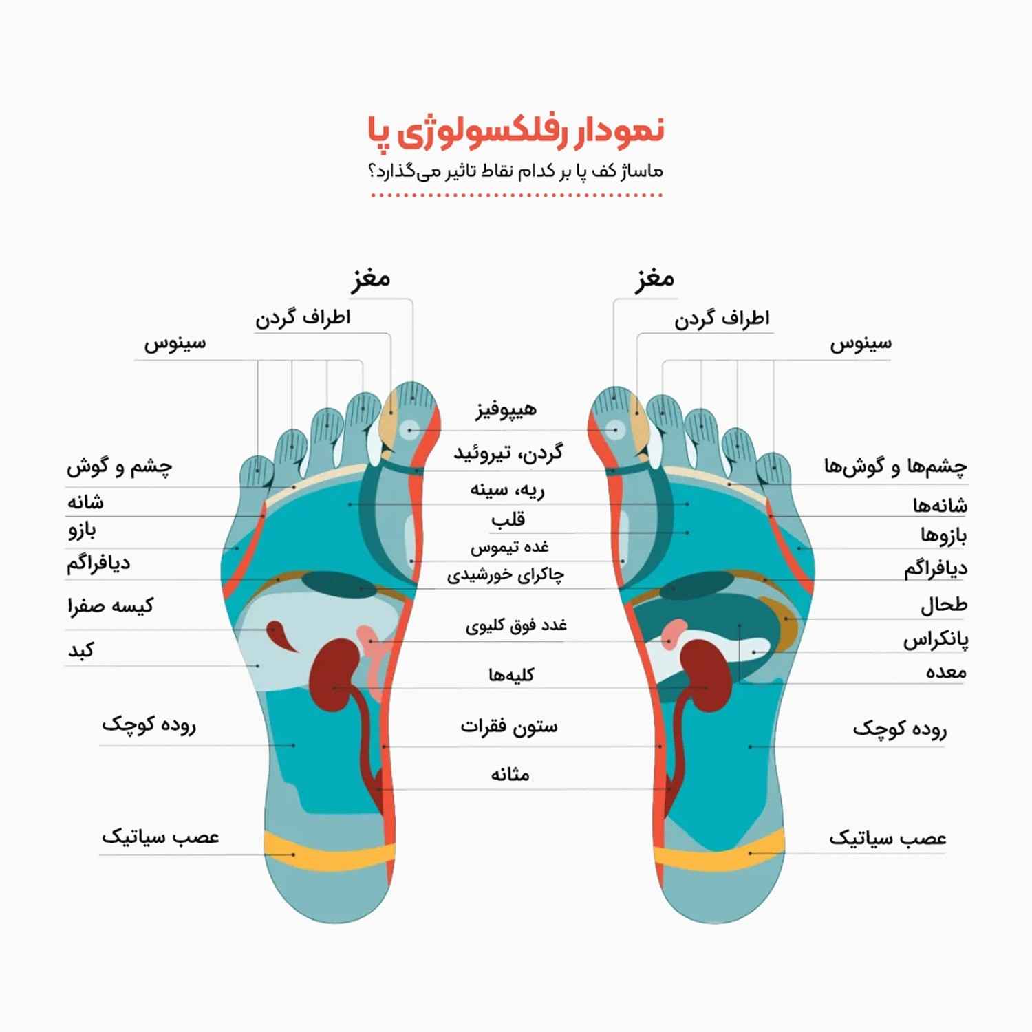 ماساژور کف پا مدل مهره ای تن زیب