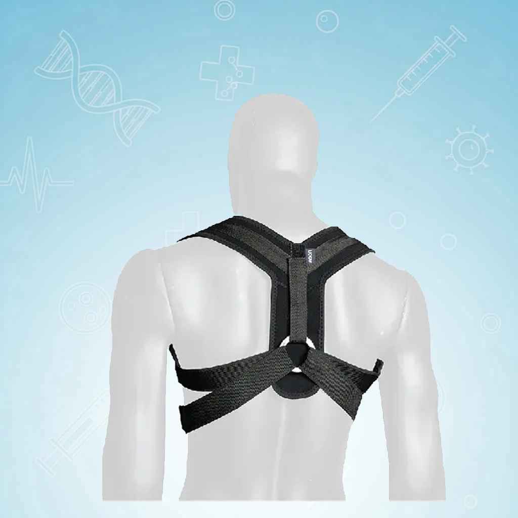 قوزبند اداری (کلاویکال) ادور